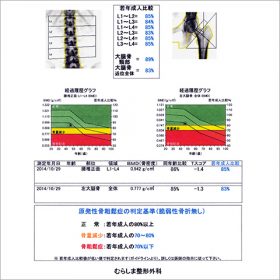 骨密度測定結果